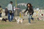 20050306_145425
