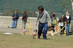 20050306_145526