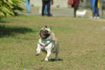 20050306_145535