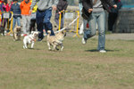 20050306_145650