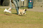 20050306_145651
