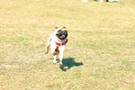 20050306_151234