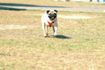 20050306_151520