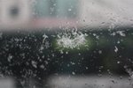 IMG_1734