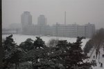 IMG_1743
