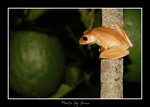 DSC_n7585