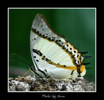 DSC_4220bint