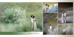 K&J-10X10-06-2