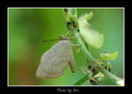 DSC_bbbb9185
