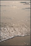 SIG_0461_1