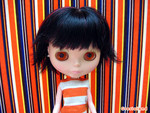 dolly_11