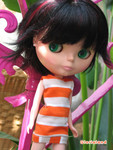 dolly_12