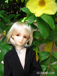 06