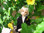 09