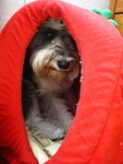 IMG_1664_resize