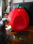 IMG_1667_resize