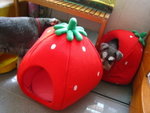 IMG_1670_resize