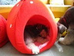 IMG_1681_resize