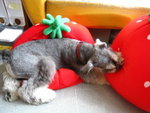 IMG_1683_resize