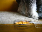 IMG_1710_resize