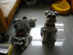 IMG_1712_resize