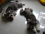 IMG_1715_resize