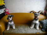 IMG_1722_resize