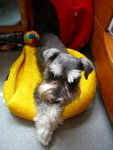 IMG_1723_resize