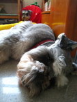 IMG_1731_resize