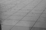 DSC03697_�վ�j�p