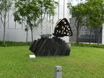 5A_22 (1)