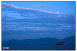 CRW_2461c