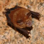 DSC_0846-