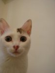 DSC07636