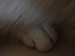 DSC07645