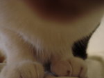 DSC07646