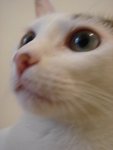 DSC07648
