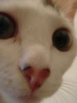 DSC07649