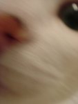 DSC07650