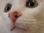DSC07652