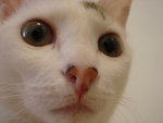 DSC07653