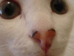 DSC07654