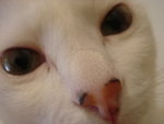 DSC07655