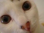 DSC07656