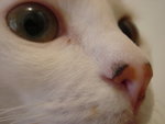 DSC07658