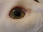 DSC07662
