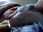 DSC07724