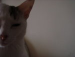 DSC07765