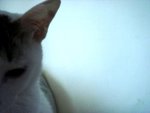 DSC07766