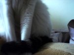 DSC07769